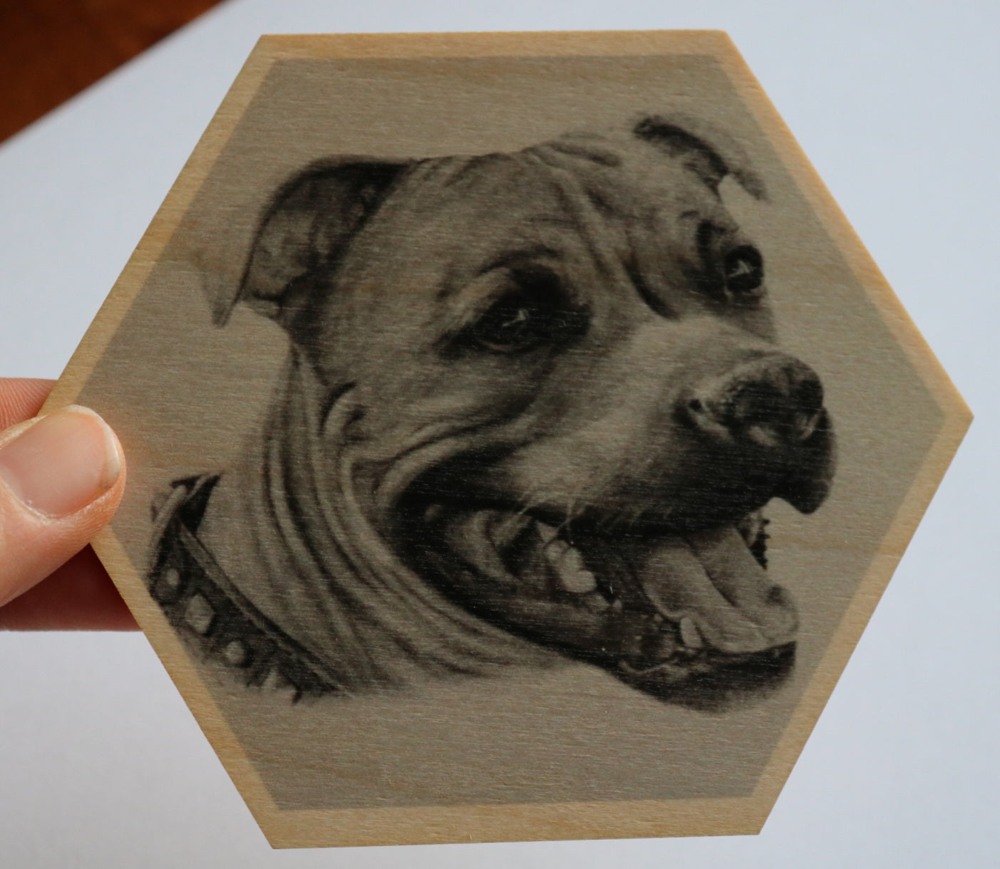 Staffordshirebullterrieri puinen magneetti