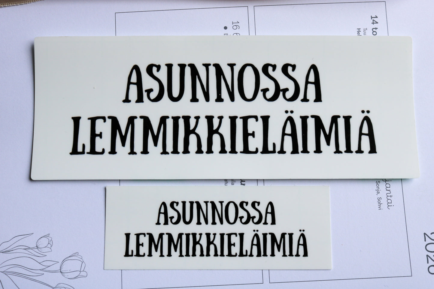 Asunnossa lemmikkejä- vinyylitarra (ISO)