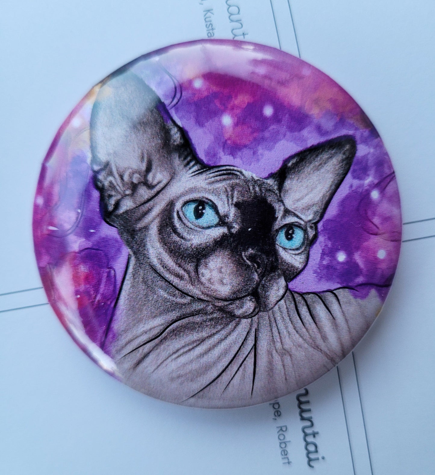 Sfinx pinssi