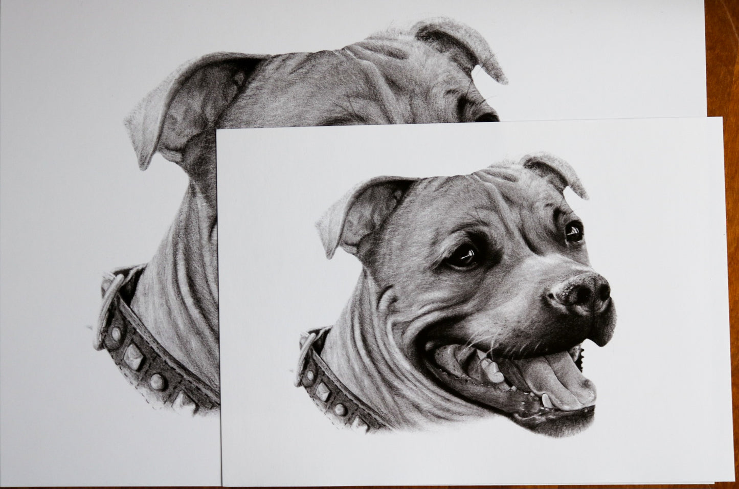 Staffordshirenbullterrieri-taideprintti (A4)