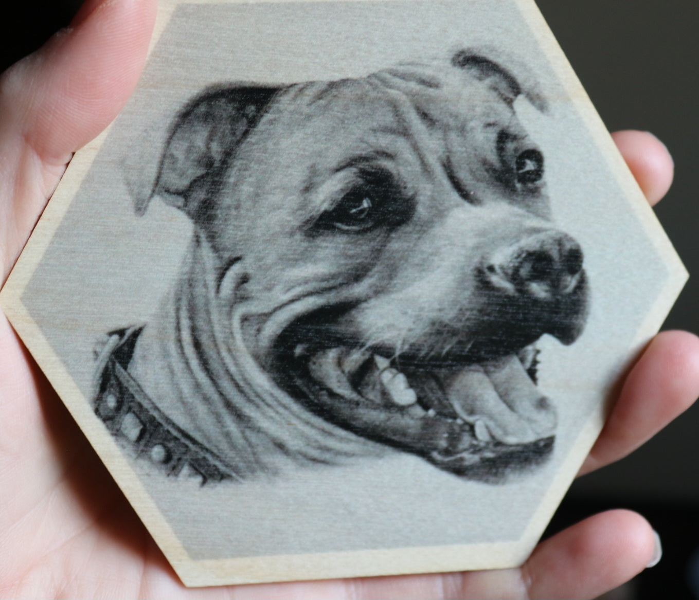 Staffordshirebullterrieri puinen magneetti