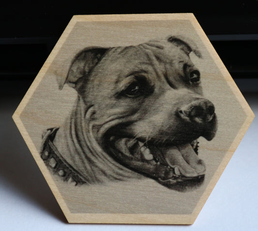 Staffordshirebullterrieri puinen magneetti