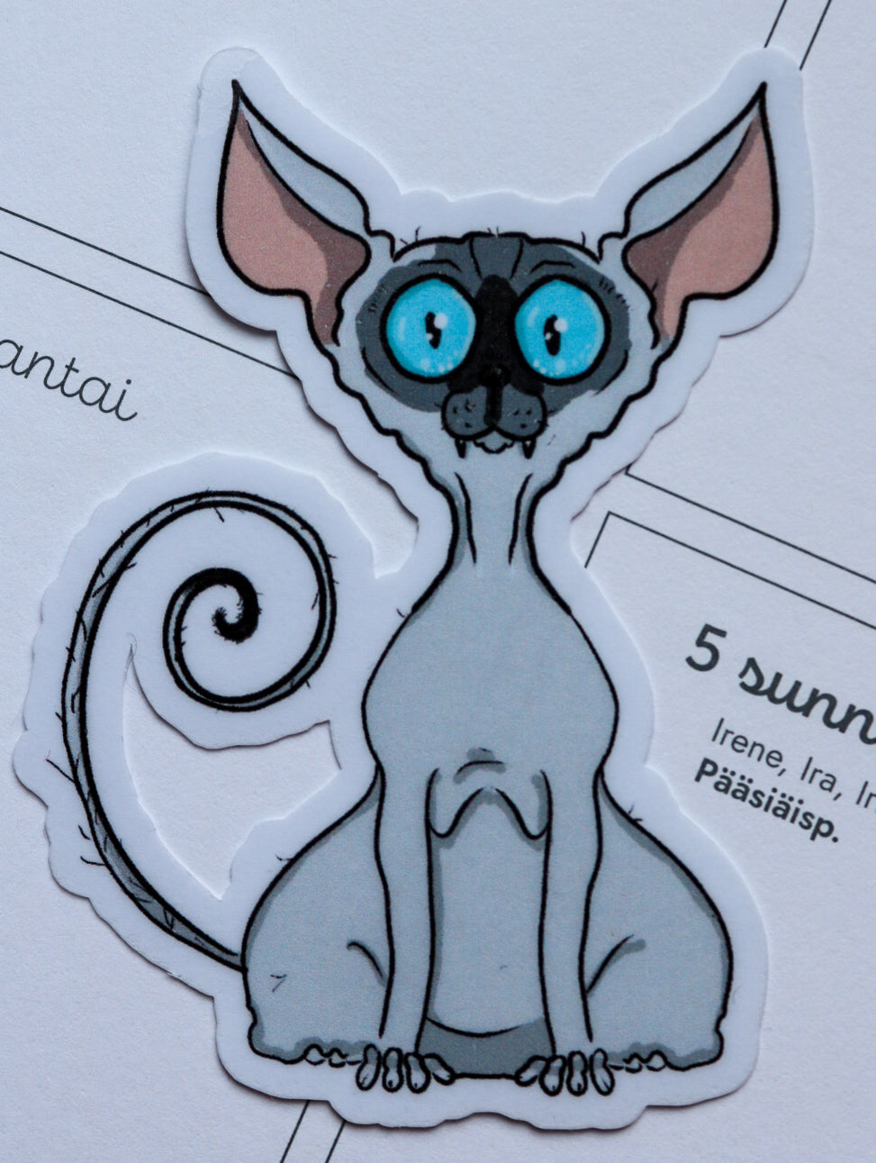 Sfinx paperitarra (laminoitu)
