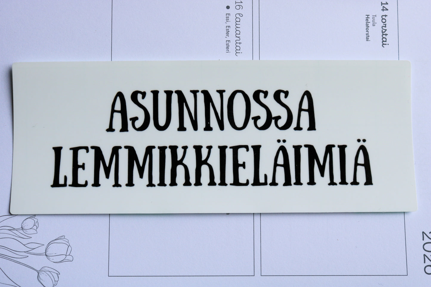 Asunnossa lemmikkejä- vinyylitarra (ISO)