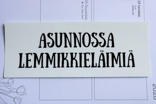 Asunnossa lemmikkejä- vinyylitarra (ISO)