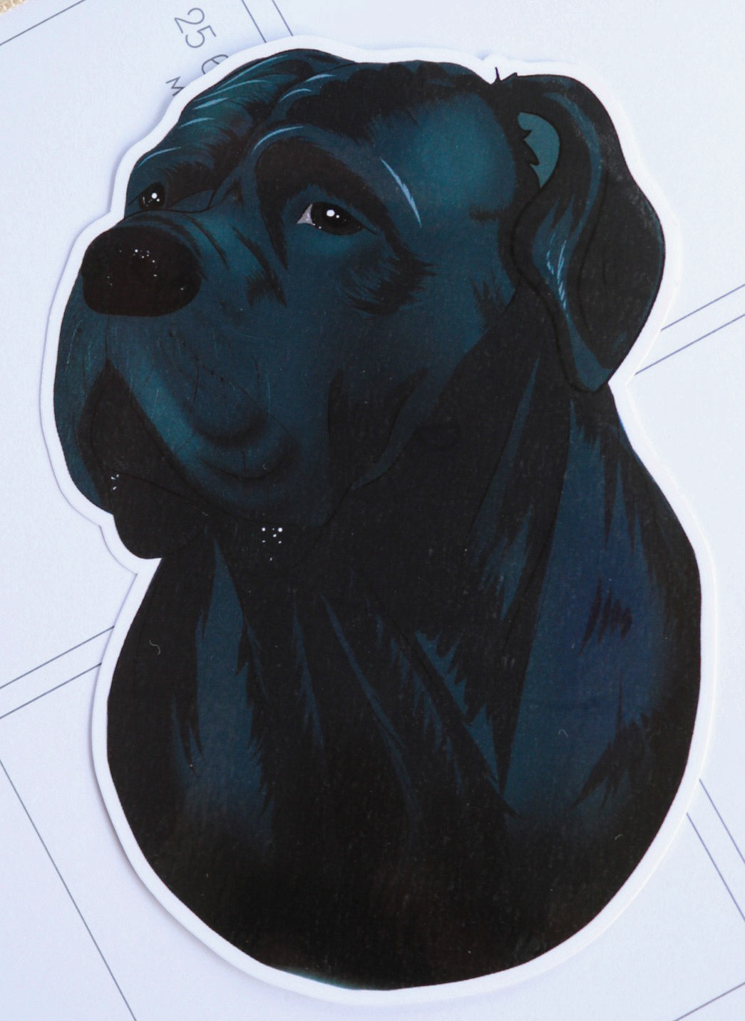 Cane corso vinyylitarra (ISO)